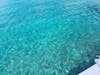 Look how clear the water is!