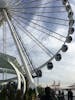 Seattle Ferris wheel on the pier