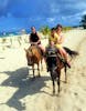 Sanchos resort in Cozumel 