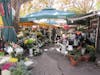 Flower Market