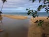 Golden sand beach on tour to Las Teranas from Samana