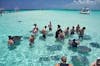 swimming with the Rays at Stingray city was a very good experience