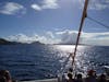 Catamarn to Nevis to snorkel from St. Kitts