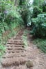 Trail to Manoa Falls