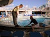 Chipping contest by the pool