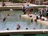 Dolphin Swim at Xcaret, Cozumel