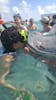 Stingray City