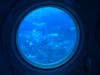 On the Atlantis submarine