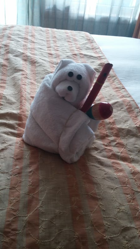 kids toys with towel animal - Carnival Valor