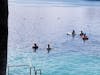 Playing in the water at Labadee