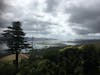 View from Larnach Castle