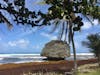 Mushroom Rock, Bathsheba Beach