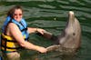 Dolphin encounter in Tortola