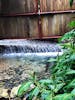 Waterfall in rainforest 