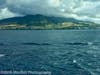 Approaching St. Kitts, taken from MDR window