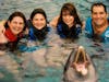 Swimming with the Dolphins (Dolphin Encounters) 