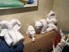 Our favorite towel animals. Out of 15