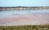 Pink lake of Retba