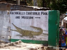 Dakar, Senegal - Kachikally Croccodile Pool & Museum