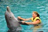 Dancing with the dolphin