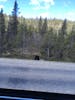 walking back from shopping in skagway