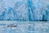 Sawyer Glacier