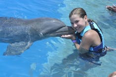 La Romana, Dominican Republic - Dolphin Encounter