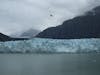 Glacier Bay National Park