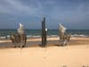 Omaha beach memorial 