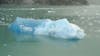 Iceberg  @ Sawyer Glacier  in Tracy Arm's