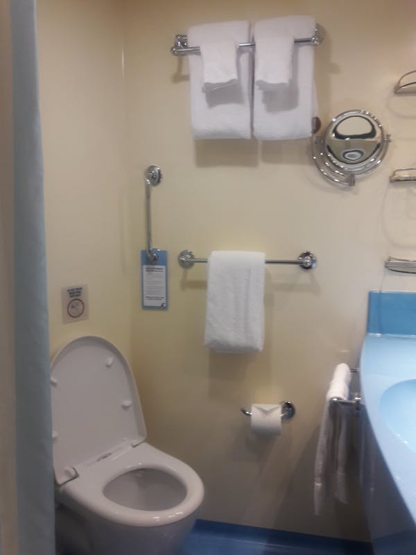 Bathroom with shower, toilet and sink - Carnival Horizon