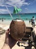 $20 unlimited coconut at Cabbage Beach