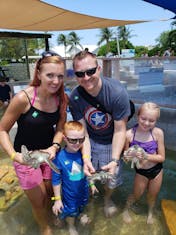 George Town, Grand Cayman - Seaturtles in Grand Cayman 
