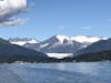 Sea Lions in Juneau (whale watching excursion)