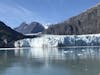 in Glacier Bay - Marjorie Glacier