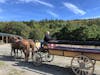 Acadian Carriage Ride