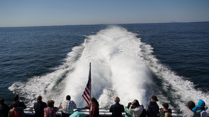 Boston, Massachusetts - Whale Watch Boat