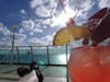 Sippin’ and lounging on a cruise day