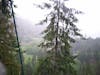 Zipline View