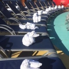 Lido deck full of towel animals
