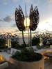 Rooftop Garden at Sunset