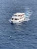 Tender boat between ship and Grand Cayman