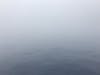 Way to Antarctica - Drake Passage with fog