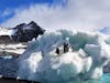 Penguins on iceberg