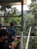 Rain Forest Tram