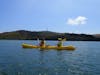 Kayaking Mangroves