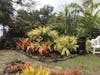 Romney Manor/Caribelle Batik