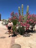 beautiful desert cactus at the marina