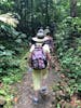 Rain Forest Hike