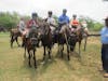 Horseback Riding & EcoPark